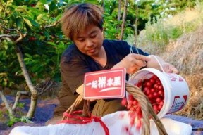 水莓100线在线观看国产,水莓100线，在线观看新体验